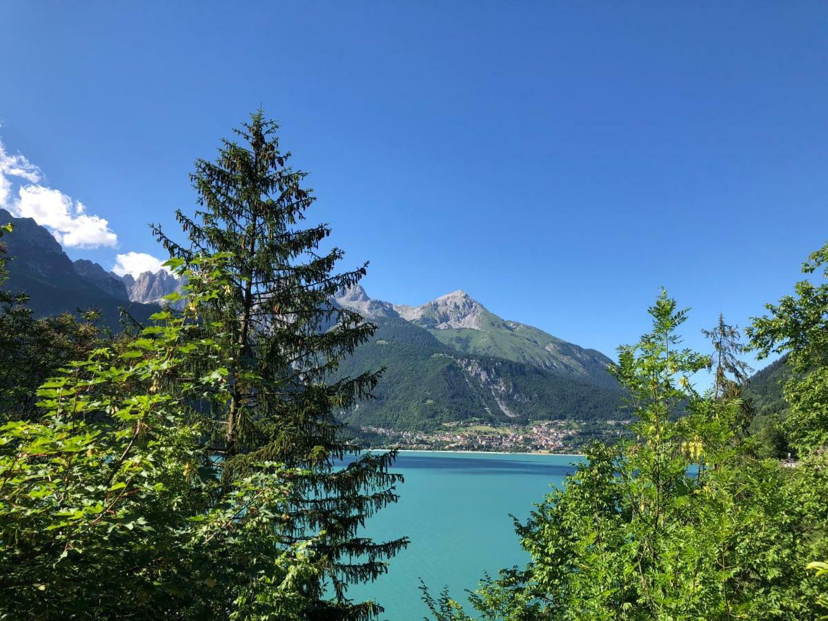 斯泰尼科Maso Azzurro住宿加早餐旅馆 外观 照片
